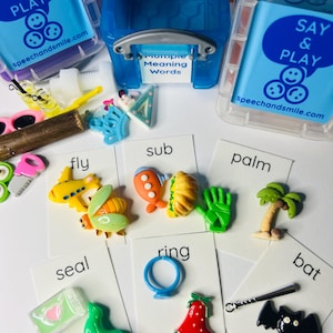 May include: A set of colorful plastic toys and cards for learning multiple meaning words. The cards have words like "fly", "sub", "seal", "ring", "palm", and "bat" printed on them. The toys are small and colorful, and they represent different meanings of the words on the cards.