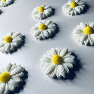 Peut inclure: Une collection de décorations en forme de marguerite blanche avec des centres jaunes. Les marguerites sont disposées en rangée sur une surface blanche.