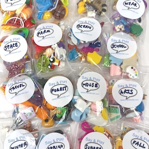 May include: A selection of small, clear plastic bags containing miniature objects. Each bag features a white label with the words "Say & Play" and a category such as "Food," "Sports," or "Animals." The bags are arranged closely together.