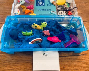 Alphabet Objects-Sound Objects- Sensory Toy-Beginning Sound Objects- Speech Therapy Mini Objects-Montessori Objects-Alphabet Toy