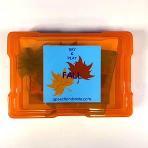 Fall Vocabulary Task Box with Mini Objects | Say & Play Mini Objects™