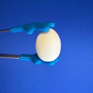 May include: A white egg is held by blue and silver kitchen tongs against a blue background. The egg is oval-shaped and has a smooth surface. The tongs have blue handles and silver metal arms.