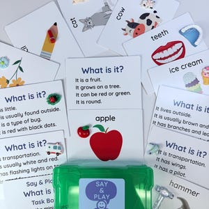 Question Task Box for Speech Therapy - What Is It Game with Mini Objects
