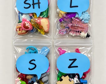 Speech Therapy Mini Objects - Pick Your Sound INDIVIDUAL BAGS Speech Therapy Trinkets -