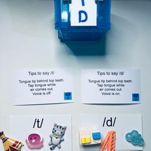 Speech Therapy Mini Objects Set Over 300 Trinkets for ALL SOUNDS ...