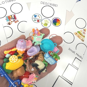 LANGUAGE Task Box with Mini Objects Speech Therapy Activity Box Language Concepts Box Speech Therapy Activity