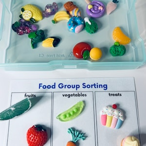 Könnte beinhalten: Eine hellblaue Plastikbox mit bunten Miniatur-Lebensmitteln, darunter eine Zitrone, Trauben, eine Banane, ein Donut und ein Lutscher. Darunter befindet sich eine Sortiertabelle mit der Aufschrift "Food Group Sorting" mit Beispielen für Obst, Gemüse und Süßigkeiten.