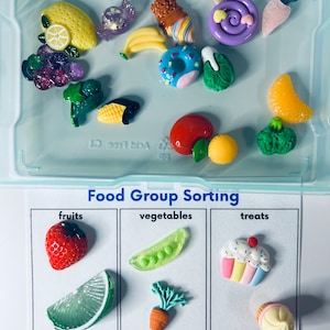 Könnte beinhalten: Eine Sammlung farbenfroher Miniatur-Lebensmittel, darunter Obst, Gemüse und Süßigkeiten, in einem transparenten Kunststoffbehälter angeordnet. Das Bild zeigt auch eine Sortiertabelle mit der Aufschrift "Food Group Sorting" mit Beispielen.