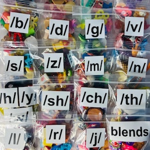 May include: A set of 15 clear plastic bags filled with colorful plastic toys. Each bag is labeled with a phonetic sound, such as /p/, /t/, /k/, /f/, /b/, /d/, /g/, /v/, /s/, /z/, /m/, /n/, /h/, /y/, /sh/, /ch/, /th/, /l/, /r/, /j/, and blends. The bags are arranged in a grid pattern.