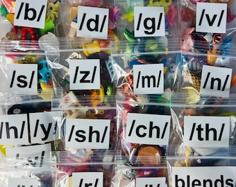 Speech Therapy Mini Objects Set ALL sounds included Articulation Trinkets IN BAGS Say and Play Mini Objects Doodads for Speech Therapy