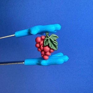 May include: A bunch of red grapes with a green leaf, held by a blue tool. The grapes are a deep red color, and the leaf is a vibrant green. The tool has a blue handle and a thin metal rod.