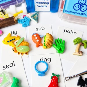 Multiple Meaning Word Mini Objects for Speech Therapy Semantics Activity Language Task Box