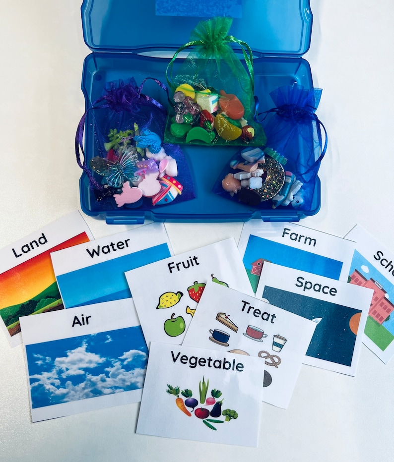 Sorting Kit – Mini Objects for Categories, Preschool Task Box, Speech ...