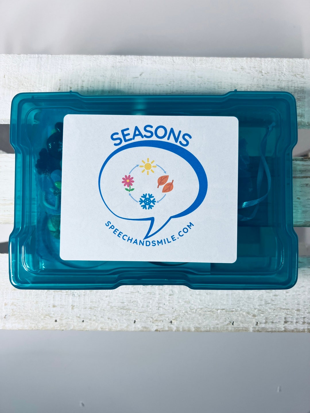 SEASONS Trinkets Mini Objects for Speech Therapy Language Task Box - Etsy
