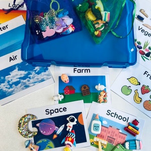 Könnte beinhalten: Eine blaue Plastik-Aufbewahrungsbox mit einer Vielzahl von bunten Plastikspielzeugen und Figuren. Die Spielzeuge sind in Kategorien wie Bauernhof, Weltraum, Schule und Gemüse sortiert. Die Box ist geöffnet und die Spielzeuge sind sichtbar.