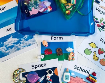 Sorting Kit – Mini Objects for Categories, Preschool Task Box, Speech Therapy Trinkets & Doodads
