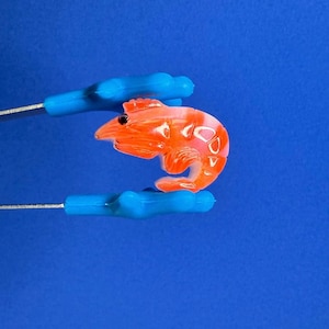 May include: A small, orange and white shrimp-shaped object is held by two blue tools against a blue background. The shrimp has a detailed design with visible eyes and markings. The tools have blue handles and thin, silver metal shafts.