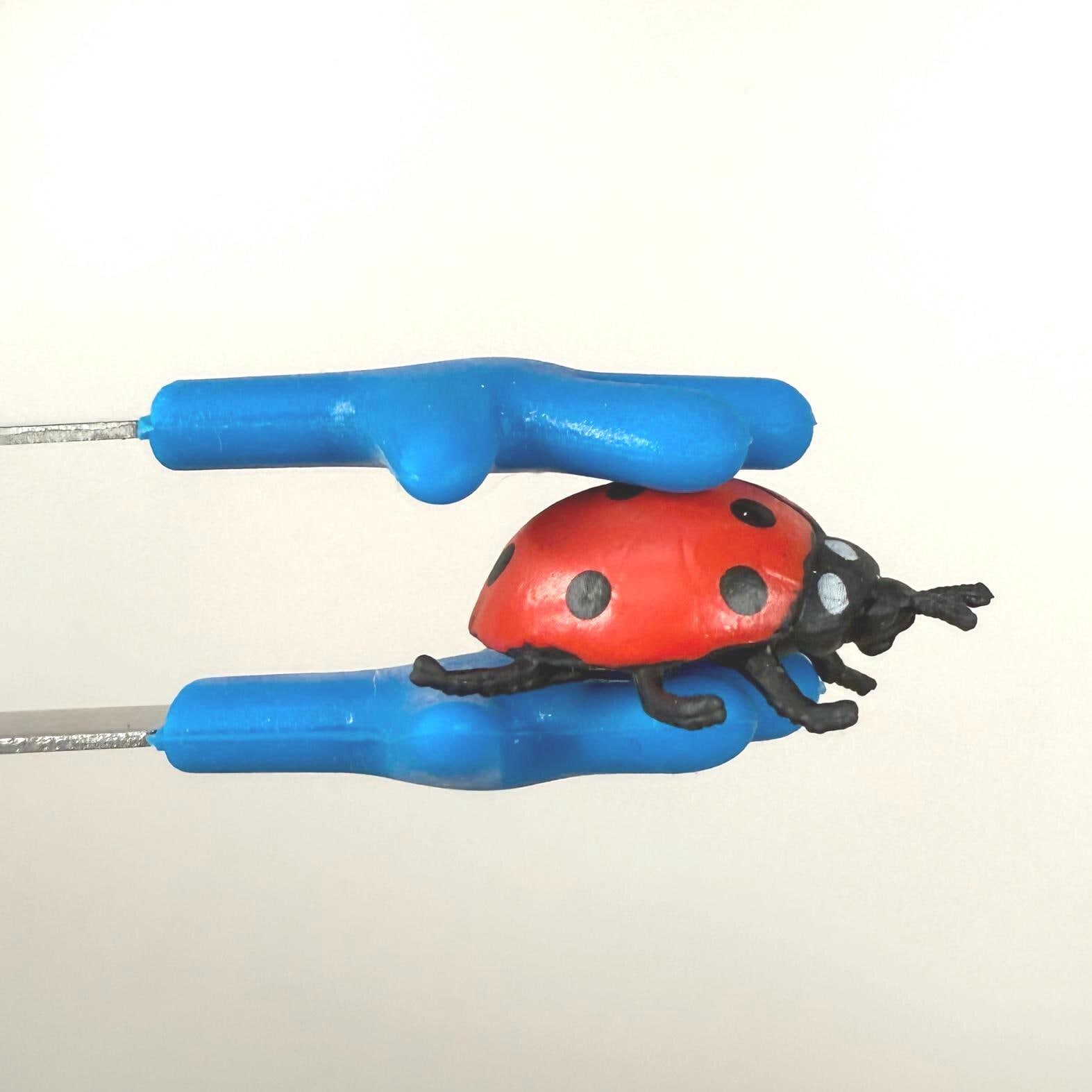 Miniature LADYBUG Figurine Mini Bug Pocket Hug Good Luck Charm Bug
