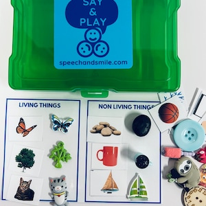 Könnte beinhalten: Eine grüne Plastik-Aufbewahrungsbox mit einem blauen und weißen Etikett, auf dem "Say & Play" und "speechandsmile.com" steht. Die Box enthält einen Satz Karten mit Bildern von Lebewesen und unbelebten Dingen sowie eine Vielzahl kleiner Gegenstände, darunter ein Schmetterling, ein Baum, eine Katze, eine Tasse, ein Stein und ein Segelboot.