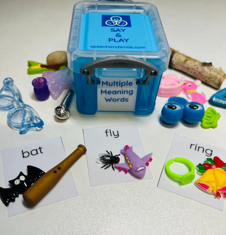 Object 794 Multiple Meaning Word Mini Objects for Speech Therapy Semantics ...