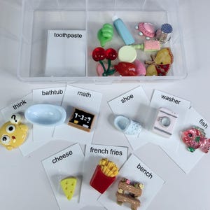 May include: A clear plastic storage box filled with miniature decorative items and labeled cards. Items include a cherry, a shoe, a cheese wedge, and a miniature washing machine. The word "toothpaste" is visible.