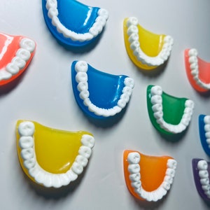 Miniature Teeth Mouth Model Mini Teeth Trinket Speech Therapy Mini Objects  Miniature Mouth Model for Speech Therapy