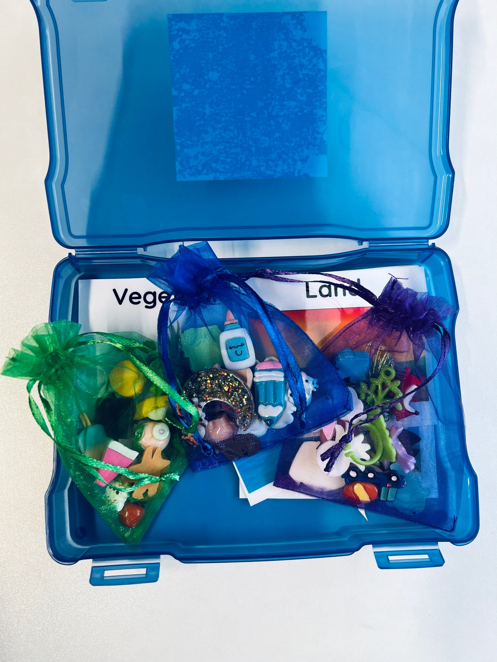 Sorting Kit – Mini Objects for Categories, Preschool Task Box, Speech ...
