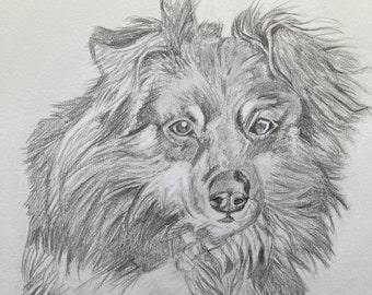 Custom Dog Drawing From Your Photo, Custom Dog Sketch From Your Photo, Personalised Pencil Drawing Of Your Dog From Photo, Memorial Pet Gift