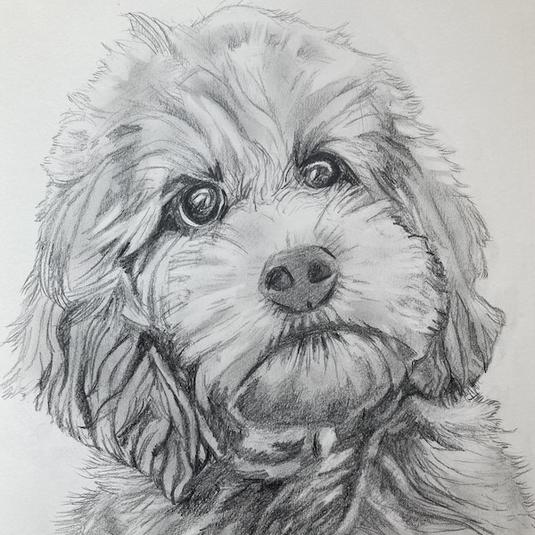 Custom dog drawing gift idea for dog lover, Dog sketch gift for dog lover, Dog drawing from photo gift idea for dog lover, Memorial dog gift