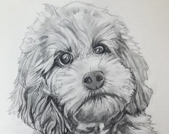 Custom dog drawing gift idea for dog lover, Dog sketch gift for dog lover, Dog drawing from photo gift idea for dog lover, Memorial dog gift