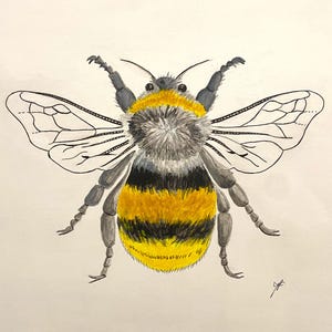 Bumble Bee Board Painting, Original Hand painted Bumble Bee. Ready to hang. Gift for nature lover. Contemporary acrylic painting.