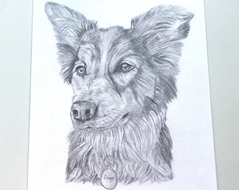 Custom Dog Portrait from Photo - Personalised Pet Drawing - Memorial Artwork Gift