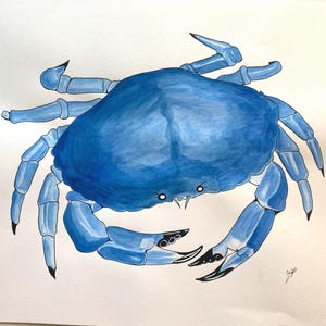 Crab painting. Original hand painted Blue Crab. Kitchen/Restaurant Wall Art. Coastal Art. Great gift for seafood lover or foodie.