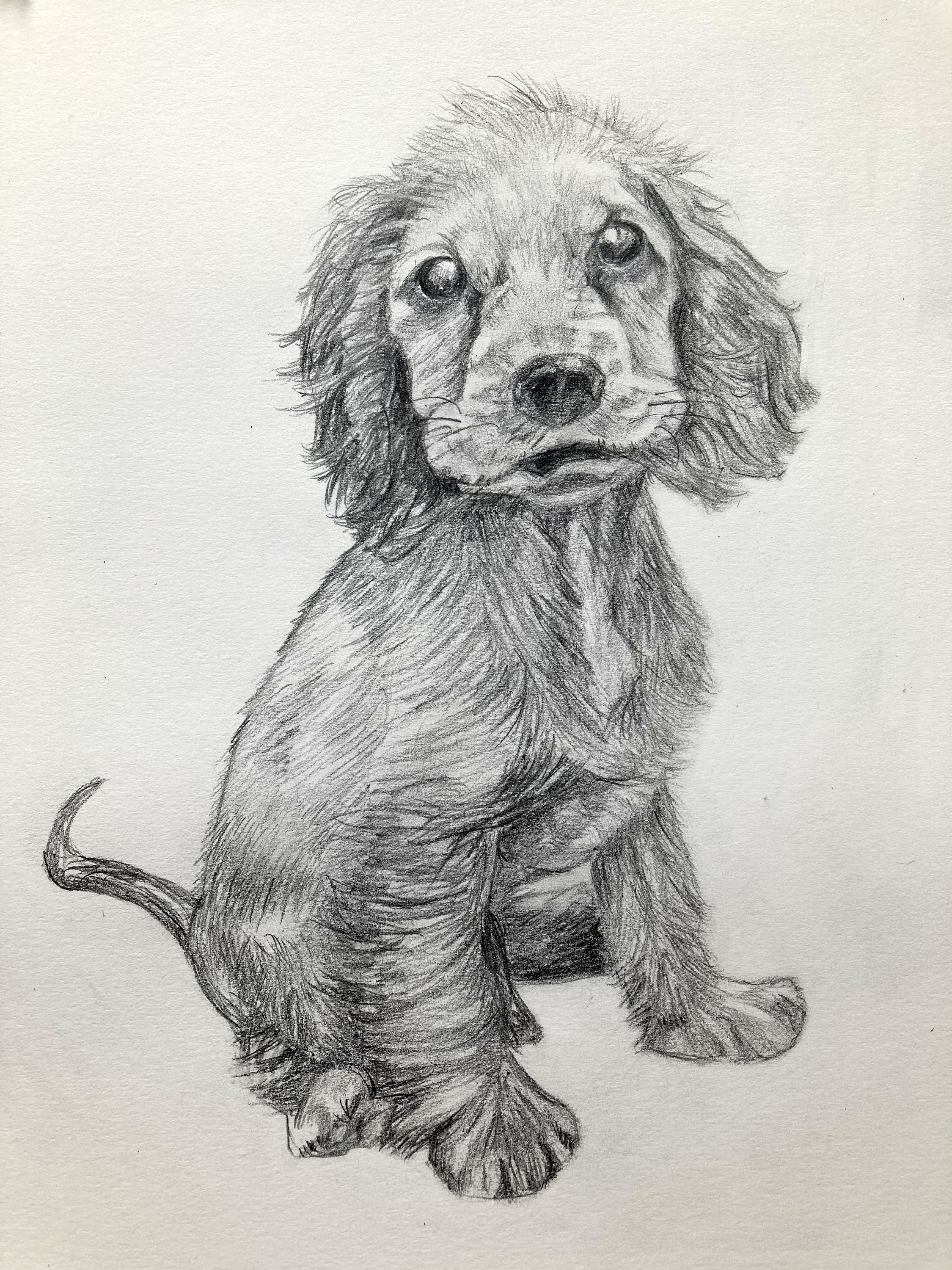 Dog Drawing Dog portrait Draw My dog Draw My Pet Dog Etsy
