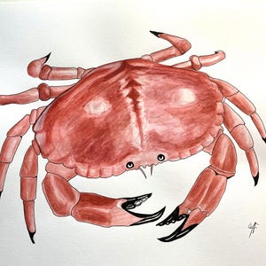 Crab Painting. Original Hand Painted Red Crab. Coastal Wall Art. Gift for Foodie. Kitchen/Restaurant Wall Art. Hand painted Crab in Acrylics