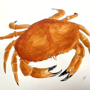 Crab Painting. Original Hand Painted Orange Crab. Coastal Wall Art for Kitchen/Restaurant. Great Gift for Foodies and Seafood Lovers
