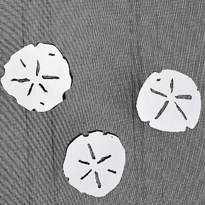 May include: Three white sand dollar shapes on a black and white patterned background.
