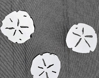 Sand Dollars Flexible Screen Magnets; Double-Sided, For Non Fold-Up Screens, Helps to Stop Walking into screens, Avg Sizes W 4.5 x 2.5"