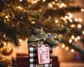 From Santa Gift Tag, Christmas Gift Labels, Reusable Santa Gift Tags, From Santa Christmas Stocking Tags