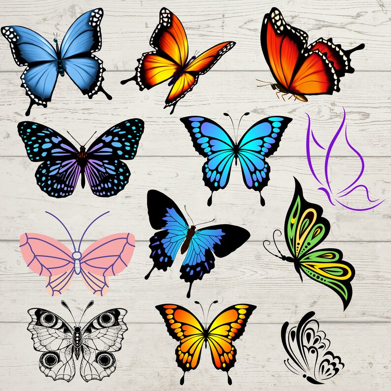 Free Free 244 Free Lace Butterfly Svg SVG PNG EPS DXF File