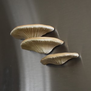 A Set of 3 Tree Mushroom Ceramic Magnets Sandy Beige
