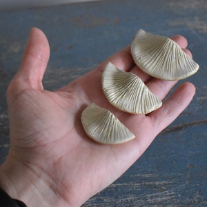 A Set of 3 Tree Mushroom Ceramic Magnets Sandy Beige image 7