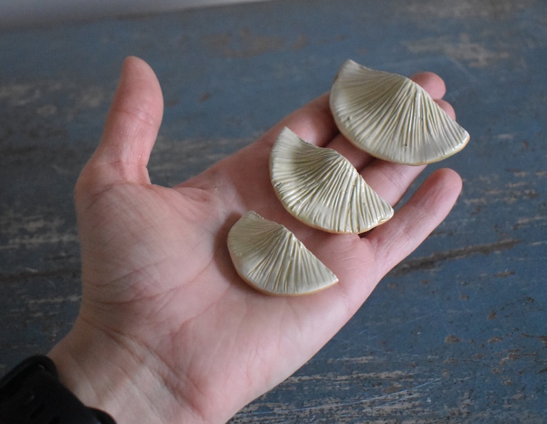 A Set of 3 Tree Mushroom Ceramic Magnets Sandy Beige image 7