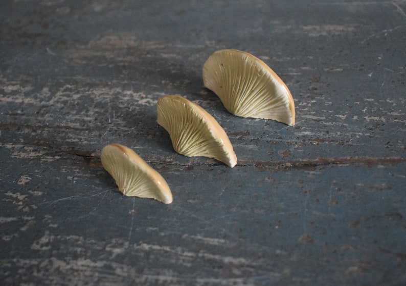 A Set of 3 Tree Mushroom Ceramic Magnets Sandy Beige image 4