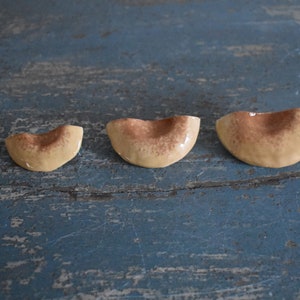 A Set of 3 Tree Mushroom Ceramic Magnets Sandy Beige image 3