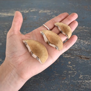 A Set of 3 Tree Mushroom Ceramic Magnets Sandy Beige image 8