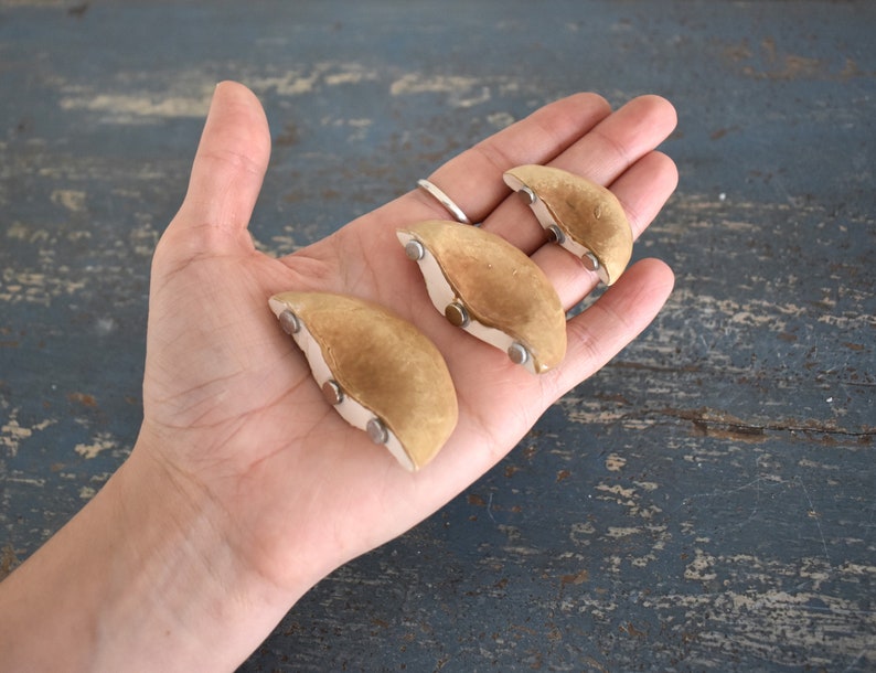 A Set of 3 Tree Mushroom Ceramic Magnets Sandy Beige image 8