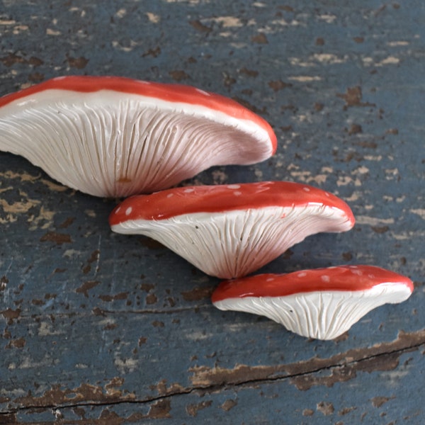 Fly Agaric Mushroom Magnet Set of 3