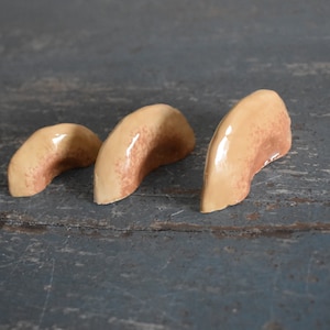 A Set of 3 Tree Mushroom Ceramic Magnets Sandy Beige image 6