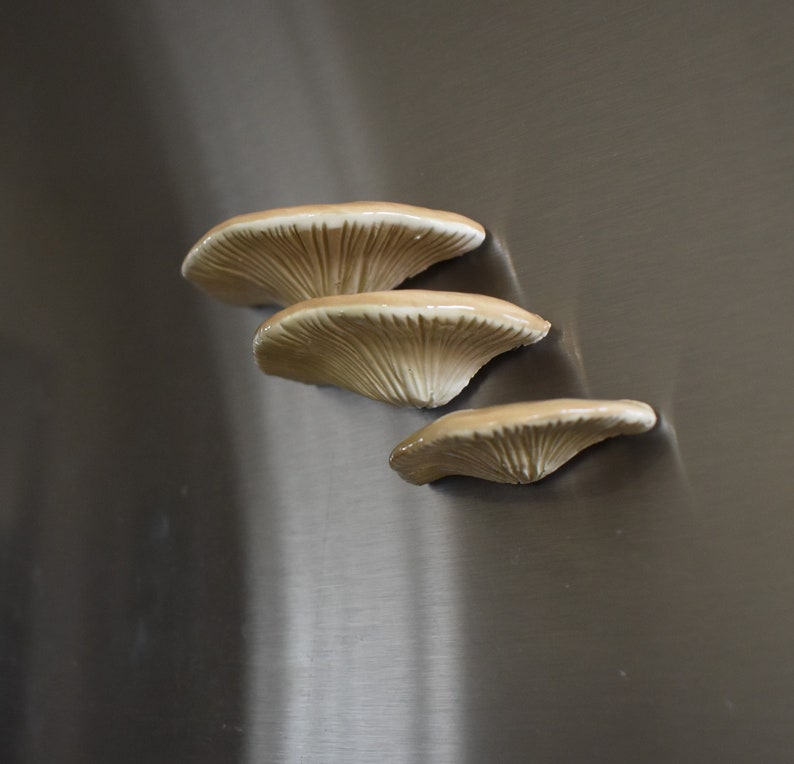 A Set of 3 Tree Mushroom Ceramic Magnets Sandy Beige image 1